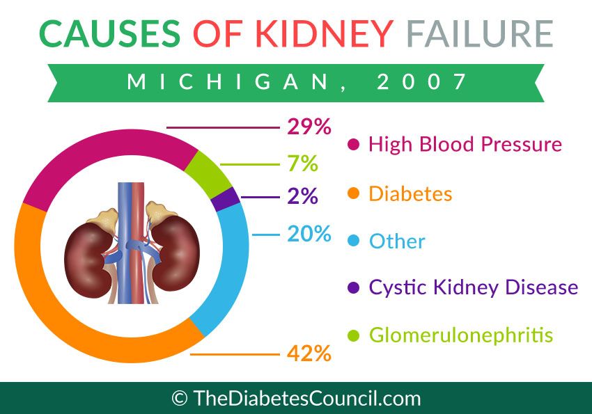 Leading causes of kidney failure statistics